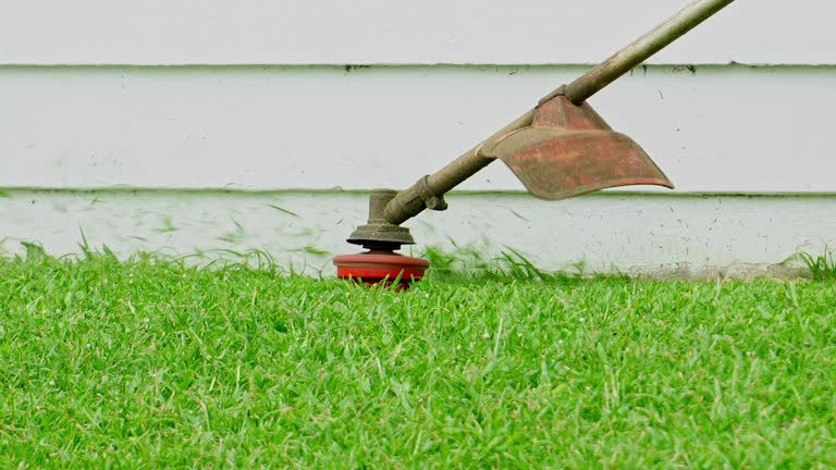 Best Tree Maintenance Programs  in Sewaren, NJ