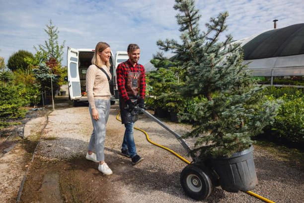  Sewaren, NJ Tree Services Pros